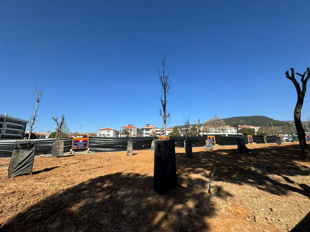 Muğla'daki Parklarda “Beton” Tartışması Büyüyor: 2 Dönümlük Alana 6,4 Milyon TL’lik Yenileme Projesi Gündemde 3